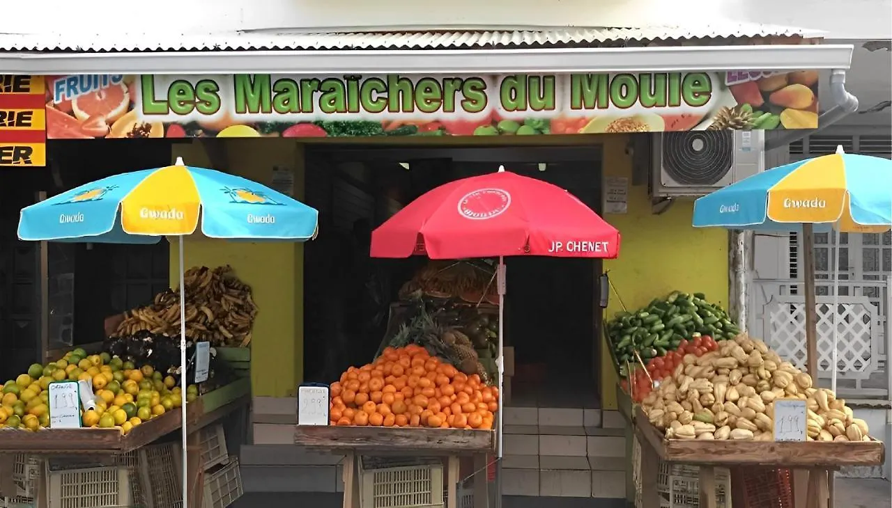Villa Punch Alizes 28, Route De La Colline 97160 Le Moule